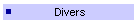 Divers
